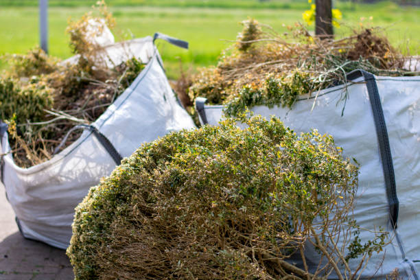 Best Dumpster Rental Services  in Northwest Harborcreek, PA